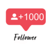 Comprar Seguidores Mundiais no Instagram Entrega Imediata