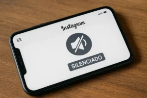 A pessoa silenciada pode ver meus Stories