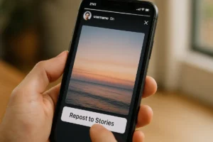 Por que as pessoas não conseguem repostar meus stories
